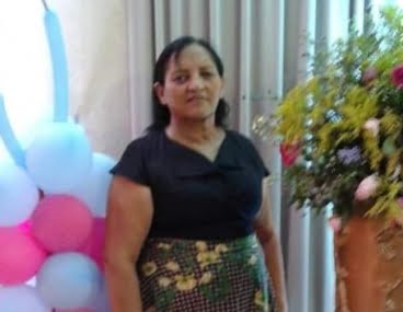 Aposentada de 62 anos morre após ataque de marimbondos na zona rural de Oeiras