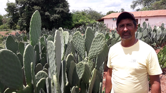 dom-expedito-lopes-ultrapassa-producoes-nacionais-no-cultivo-da-palma-adensada-2e2735a2-8936-4ee0-9f80-d0b088d84b39