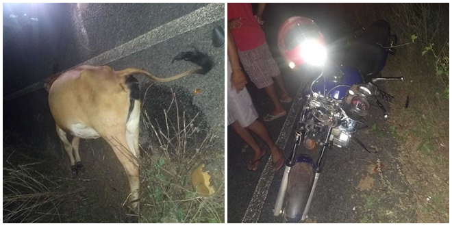Homem morre após colisão de motocicleta com vaca em rodovia do Piauí - page