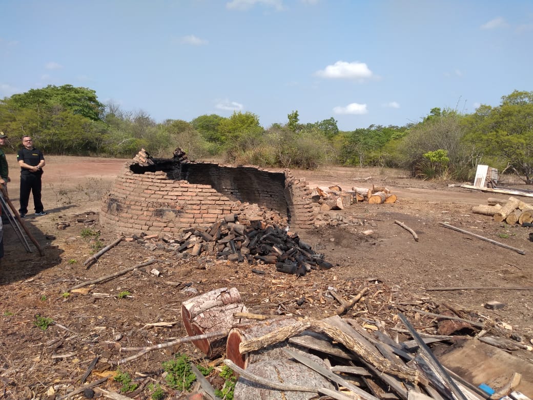 ed3067ba-0177-42f4-9453-eef76dd23f6b-cf4f69d6-f1fe-4d9e-aafd-956be9ff00ee