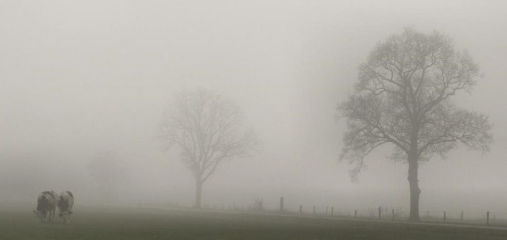 Cidade do Piauí tem temperatura de 13 ºC; “frio” deve durar até 15 de agosto