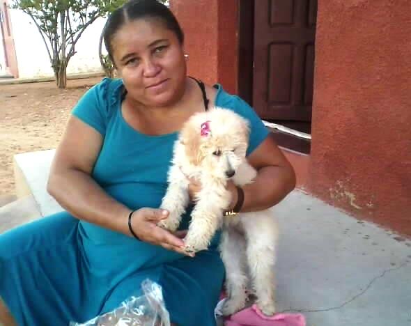 df45445d-f9e2-4c03-a0a3-34fcaf35e729