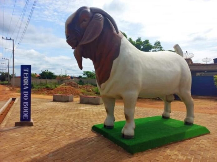 Após maior monumento de sanfona do mundo, cidade do Piauí ganha estátua de bode gigante