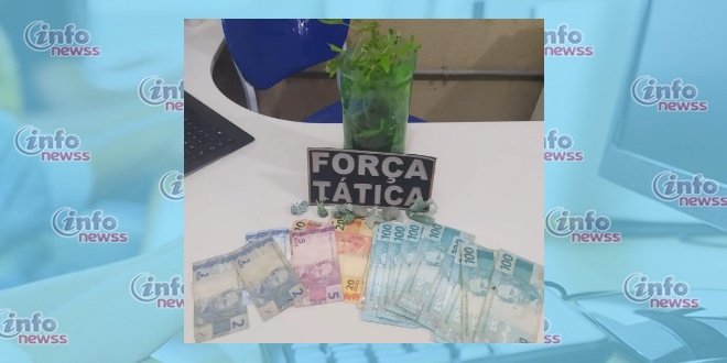 Polícia flagra plantação de maconha em Geminiano
