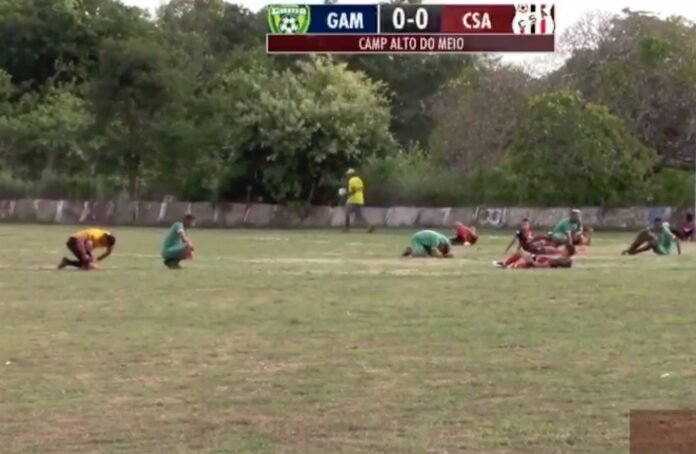Ataque de abelhas paralisa jogo em Campeonato no Piauí
