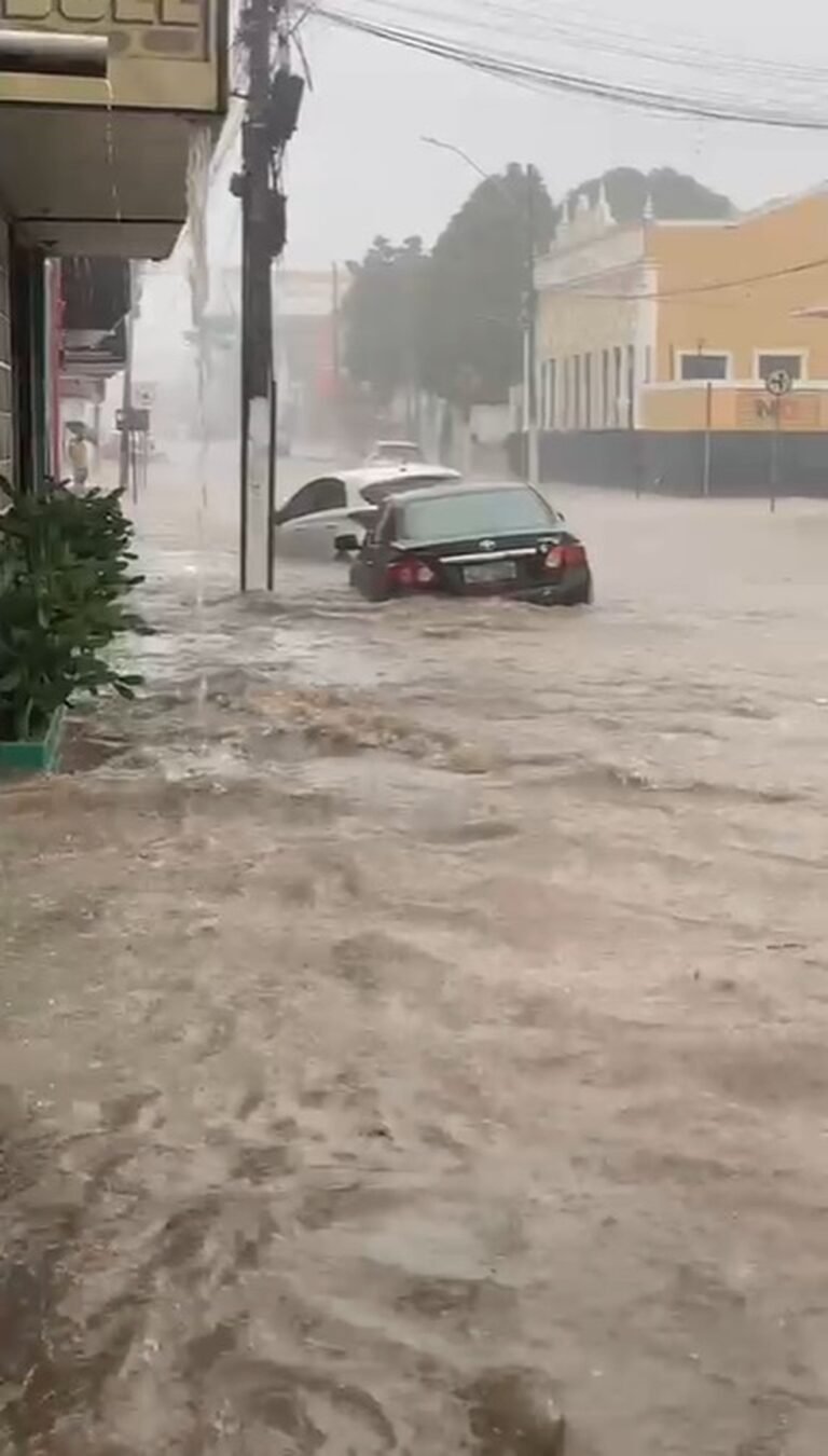 Carros são arrastados, casas, lojas, escolas e ruas ficam alagadas durante temporal em Floriano￼