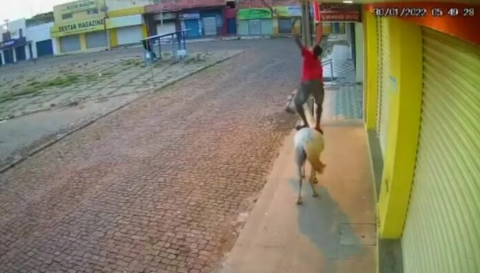 Montado em cavalo, homem tenta roubar fios de telefone no Piauí