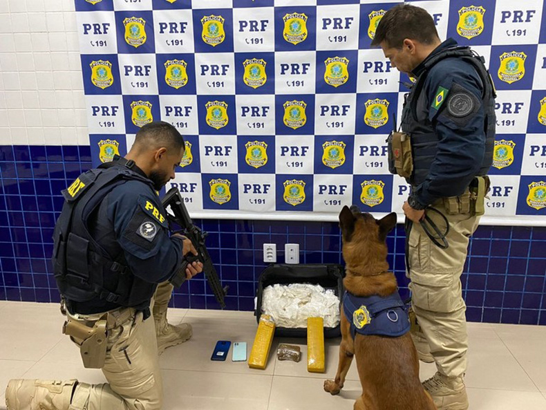 PRF apreende mala com drogas avaliadas em mais de R$ 255 mil despachada em ônibus