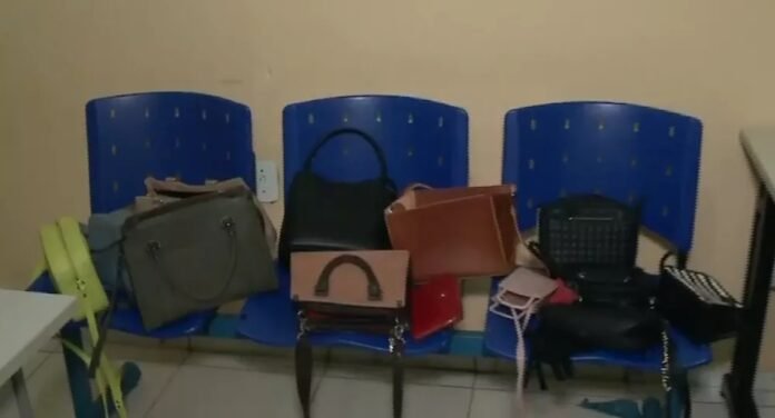 Polícia recupera 12 bolsas femininas, 4 TVs e relógios roubados no Piauí
