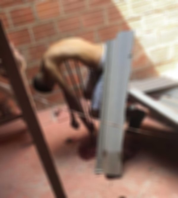 Vídeo ladrão tenta fugir pelo telhado, cai e morre espetado em barras de ferro
