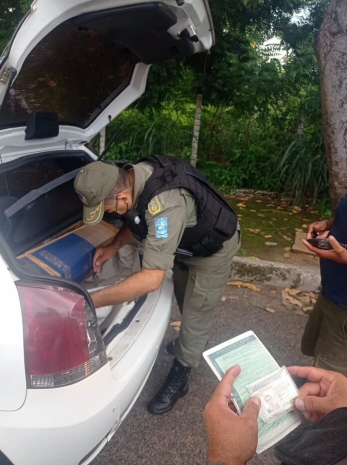 Idoso condenado por estupro de vulnerável em SP é preso durante operação carnaval no Piauí