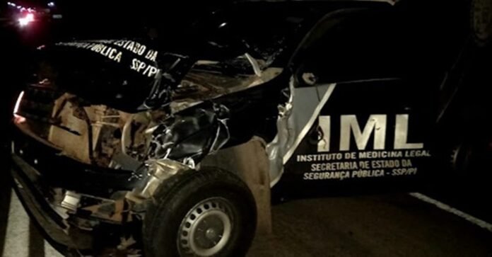 No Piauí, veículo do IML colide com dois animais na BR 343