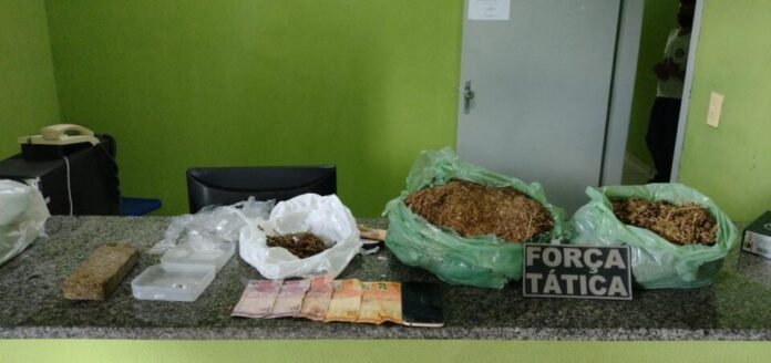 Polícia Militar apreende grande quantidade de droga em quintal de residência em Paes Landim; veja vídeo