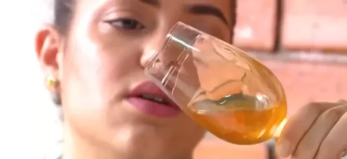 Piauiense se torna a primeira sommelier de mel no Brasil; entenda mais sobre a profissão