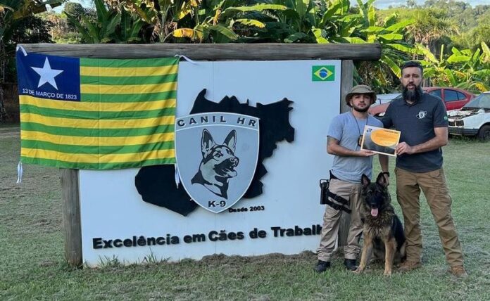 Polícia Civil conta com cão farejador no combate ao tráfico em Picos