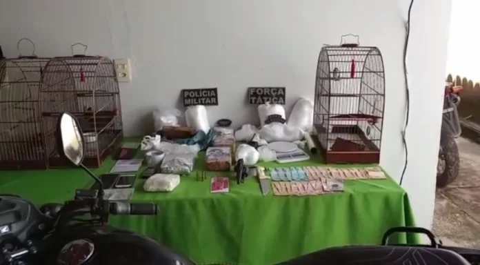Suspeito de tráfico é preso com drogas e pássaros silvestres em União, no Piauí