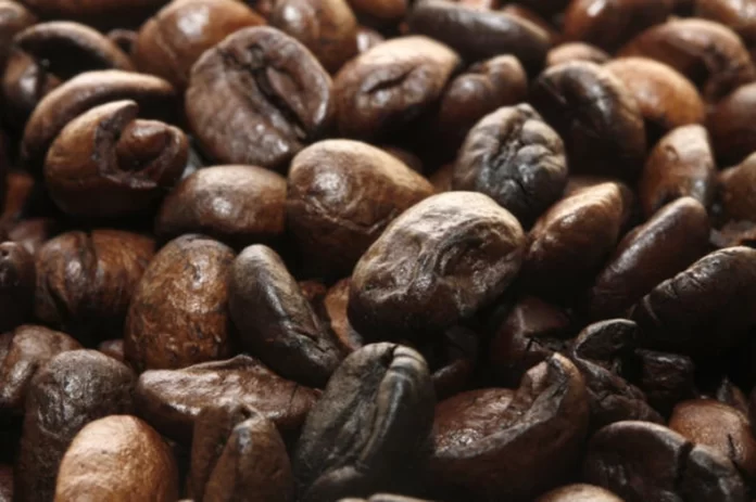 Suíça encontra 500 kg de cocaína enviada do Brasil em entrega de café