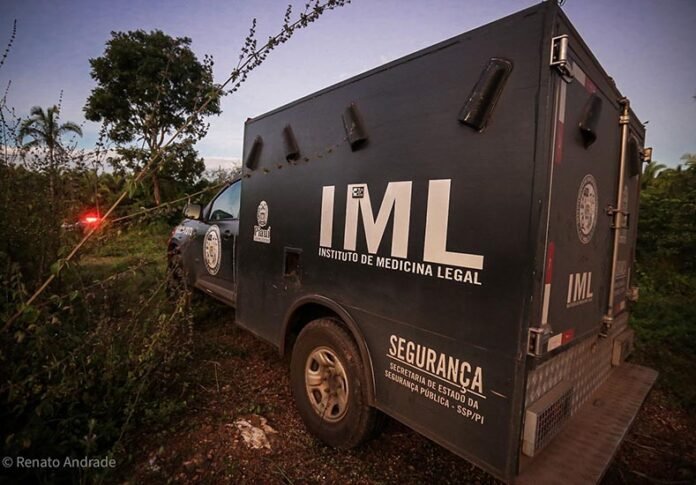 iml_pi_renato_andradee