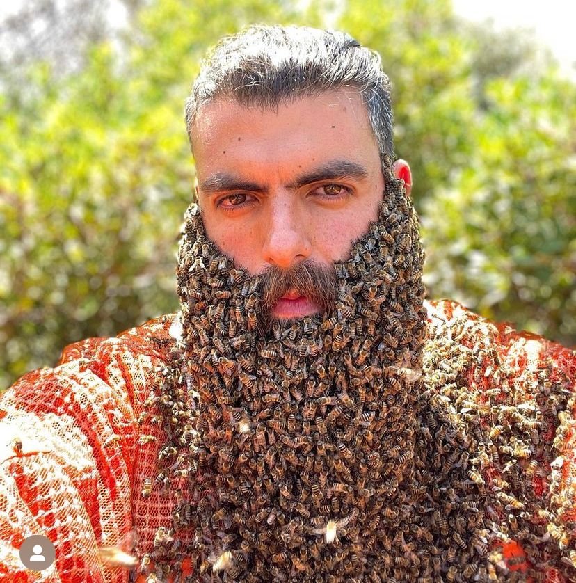 Apicultor libanês viraliza nas redes sociais com vídeos coberto por abelhas  - Info Newss