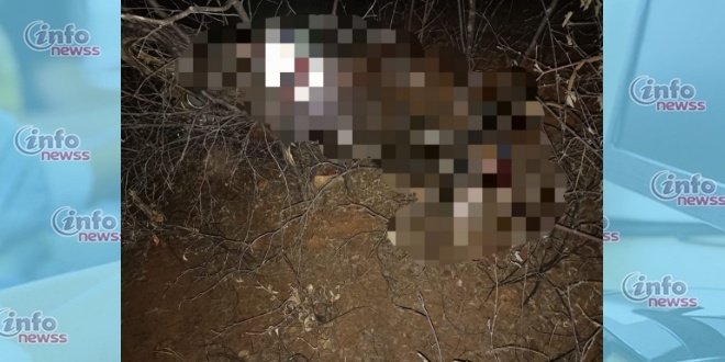 Idoso morre em acidente de moto na PI — 245 em Vera Mendes — PI