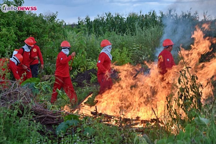 Prefeitura de Belém do Piauí capacita brigadistas para combate a incêndios florestais-DSC_0145
