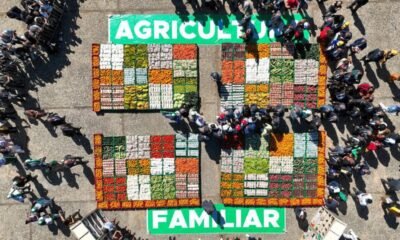 imagem_do_whatsapp_de_2023-06-28_as_13.54.33-400x240