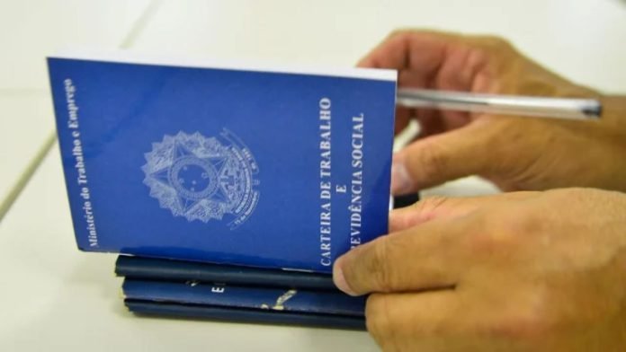 piaui-cresce-em-geracao-de-empregos-e-ocupa-1-lugar-do-nordeste-pelo-5-mes-ecf6b4c3-87a0-48a7-b51b-ed74d6f19627
