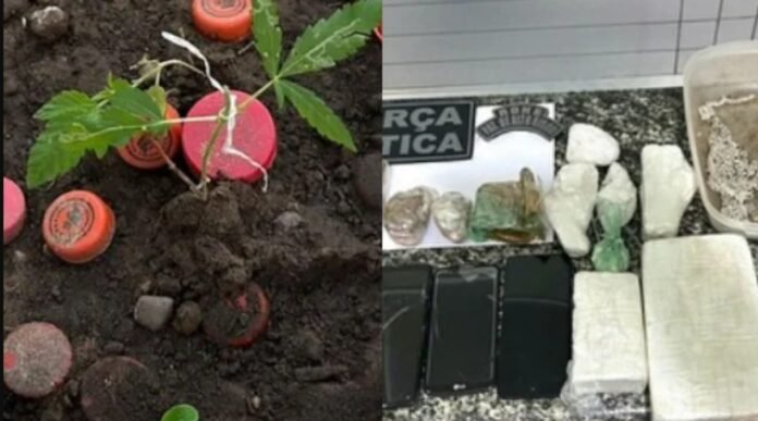 Droga-apreendida-em-Valenca