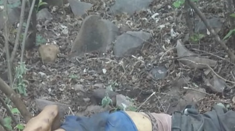 Idoso é atacado e morto por vaca na zona rural de Araripina