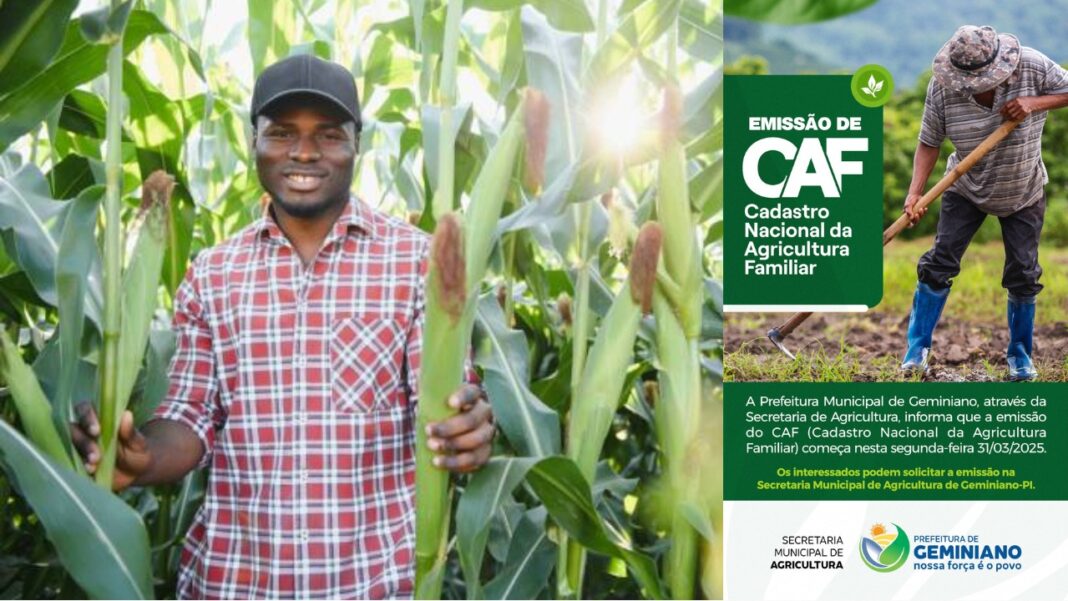 Prefeitura de Geminiano inicia emissão do Cadastro Nacional da Agricultura Familiar (CAF) 1