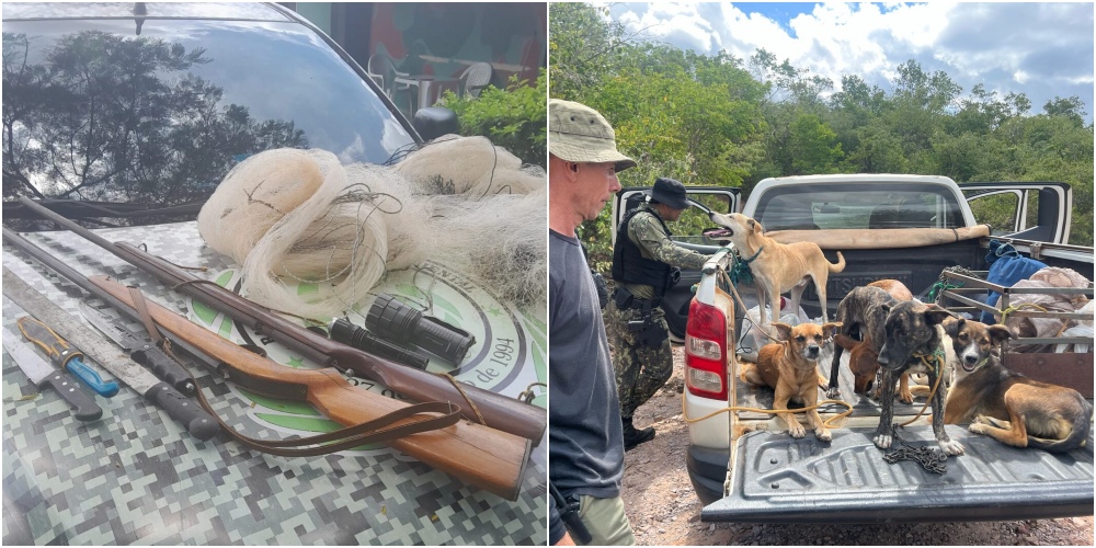 Piauí intensifica combate à caça ilegal com fiscalização