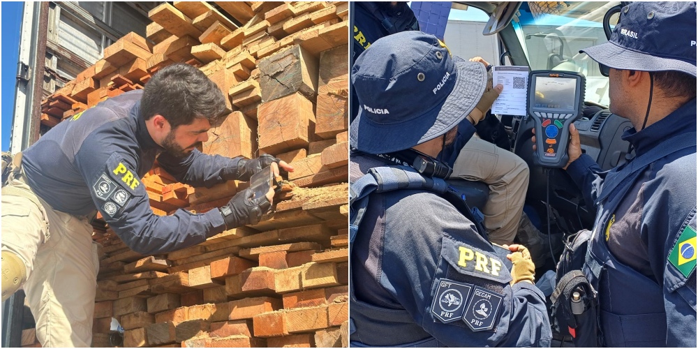 PRF intensifica fiscalização na Semana Nacional do Meio Ambiente em Pernambuco