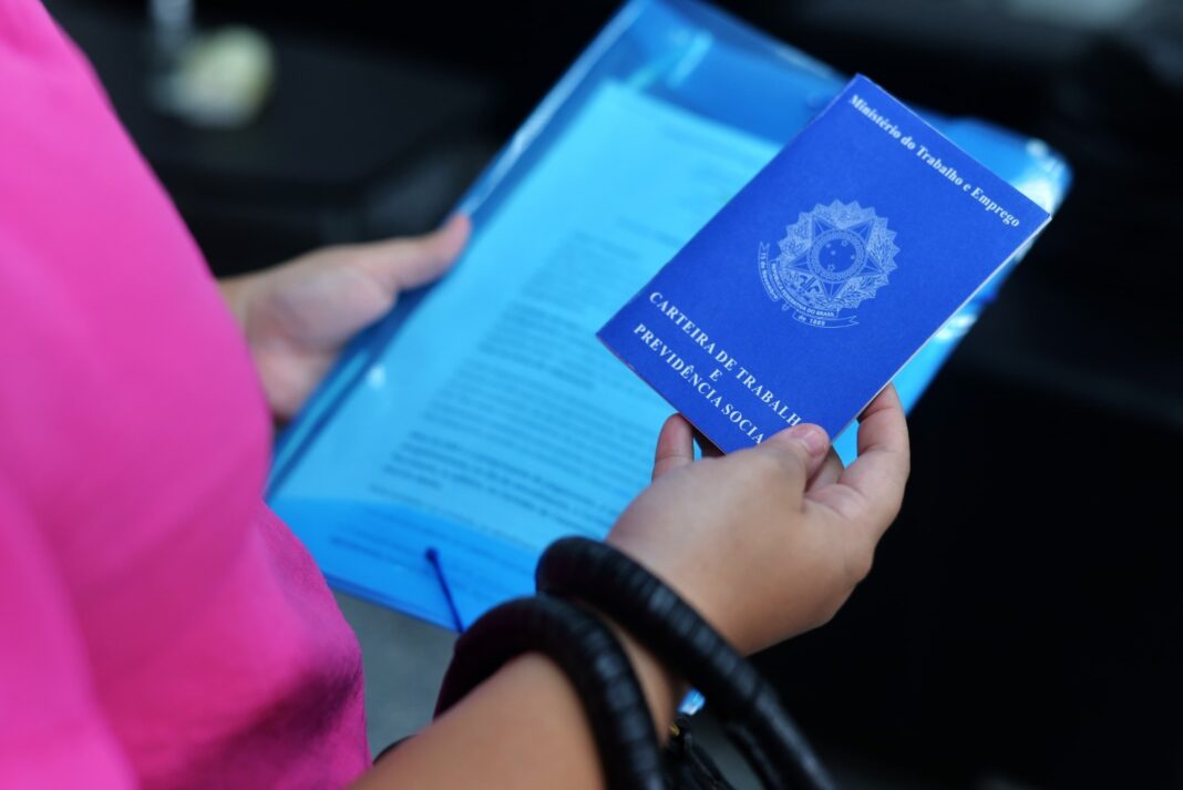 Carteira de Trabalho - Emprego Foto: Gabriel Santana/Sedepe