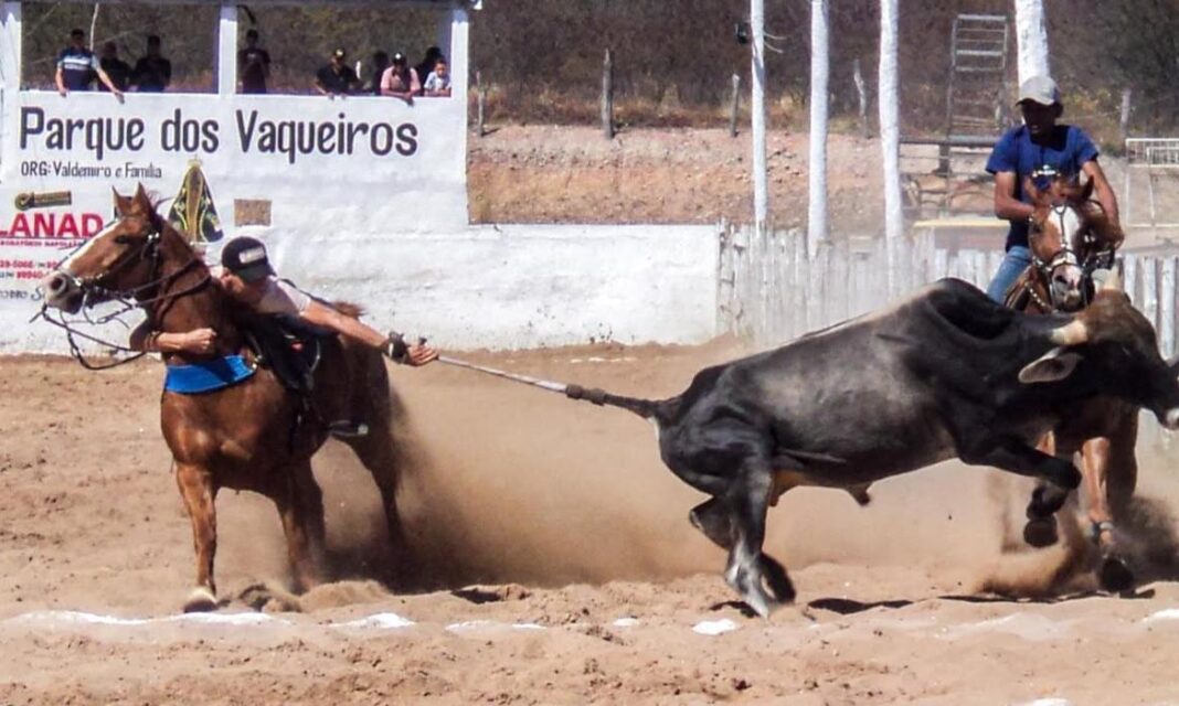 WhatsApp Image 2025-07-08 at 10.13.36