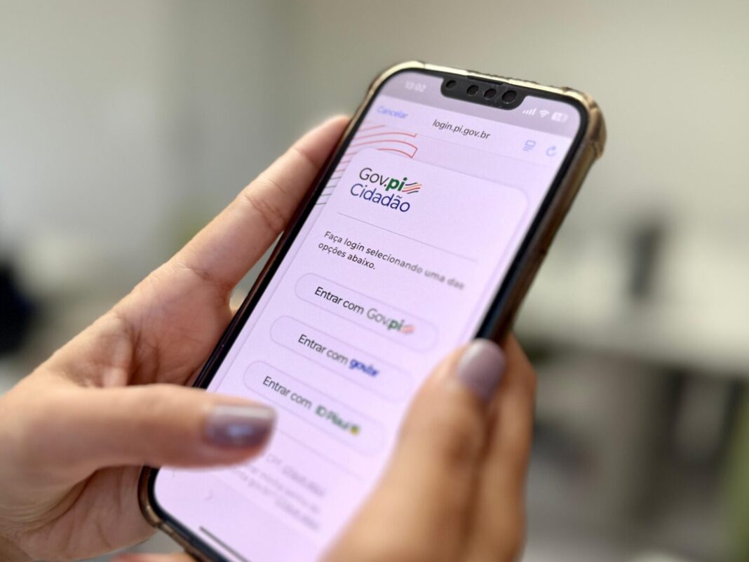 plataforma Gov.pi Cidadão, criada para facilitar o acesso da população a serviços públicos digitais