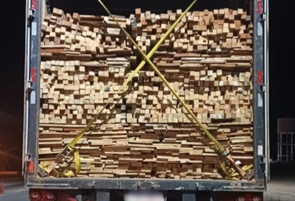 PRF apreende 48 m³ de madeira transportada ilegalmente em Picos