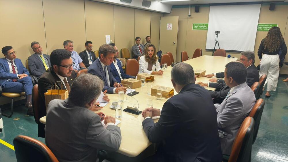 Reunião entre PF e bancada federal define prioridades no orçamento de 2026 para o Piauí